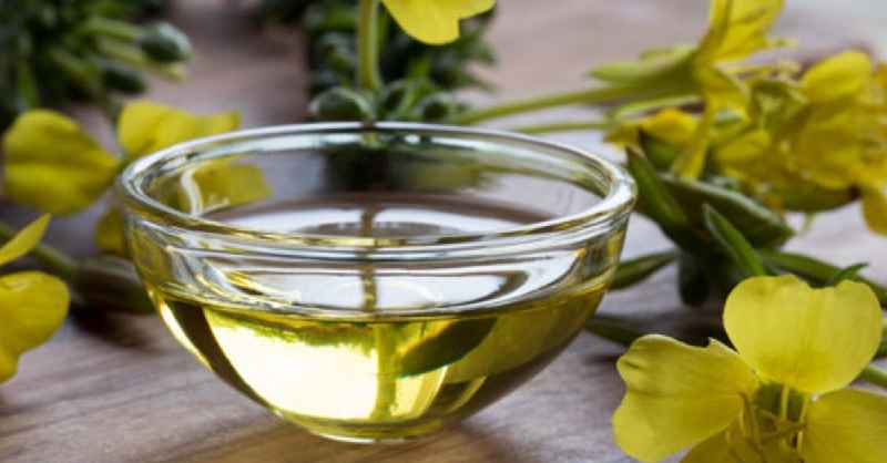What oil is good for face skin