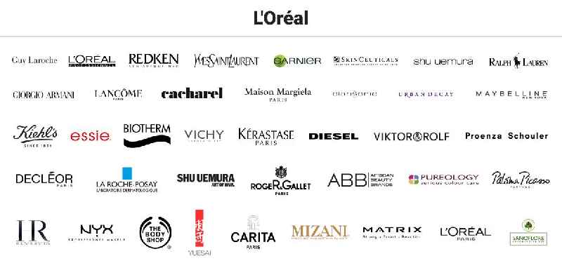 What professional brands does Loreal own