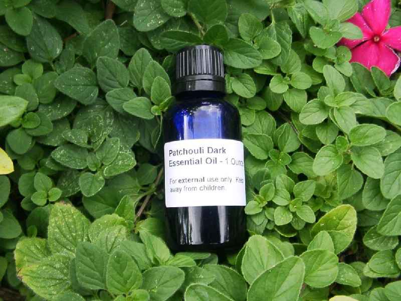 What scent family is patchouli