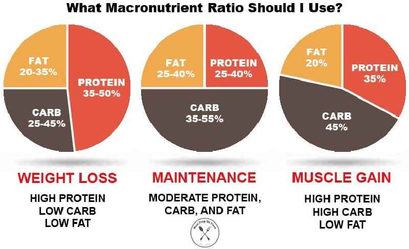 What should my macros be to lose weight and gain muscle