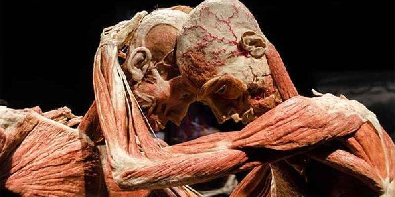 What type of art process is Body Worlds