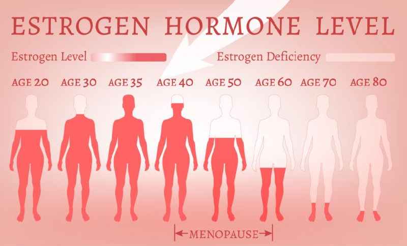 What vitamins can increase estrogen