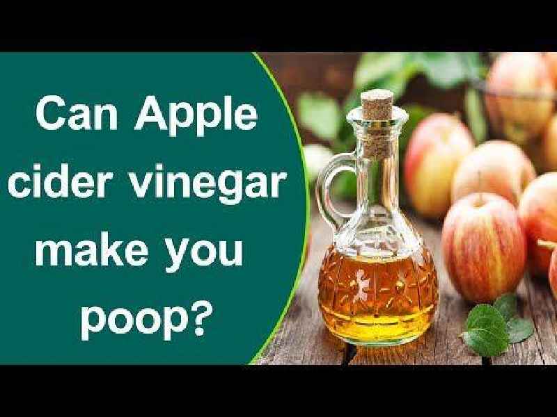 When should I take apple cider vinegar gummies for weight loss
