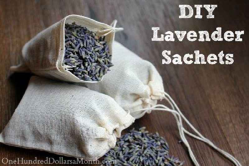 Where do you put lavender sachets