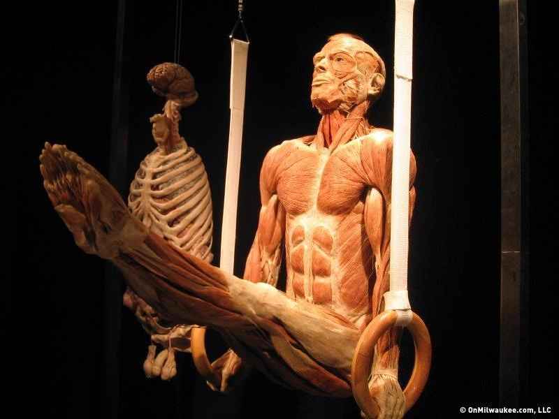 Where is the BODY WORLDS Exhibition now 2021