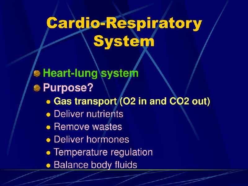 Which 2 body systems does the cardiorespiratory fitness