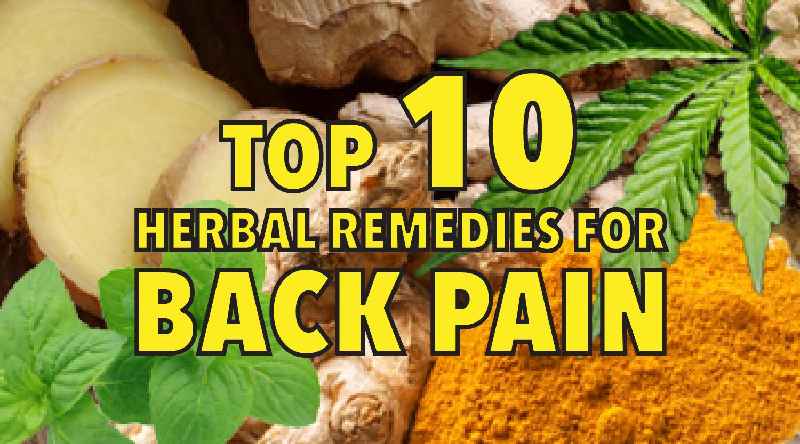 Which Ayurvedic oil is best for muscle pain