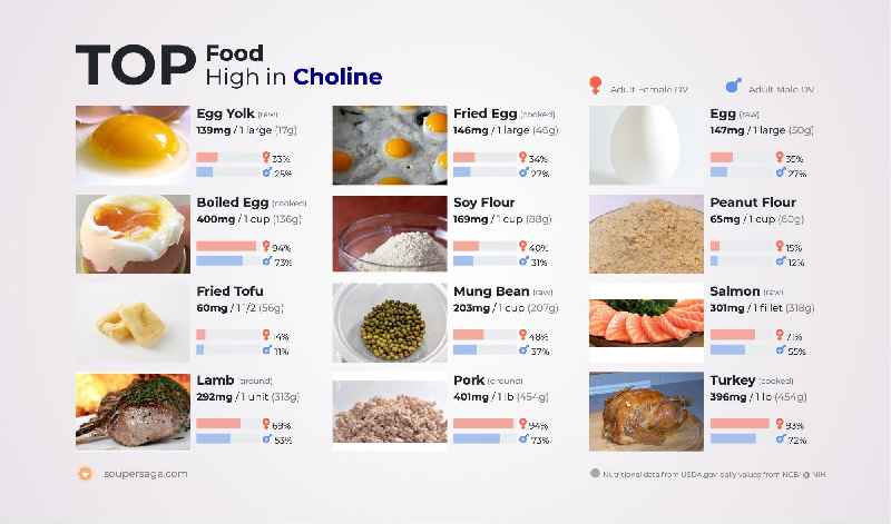 Which food is highest in choline quizlet