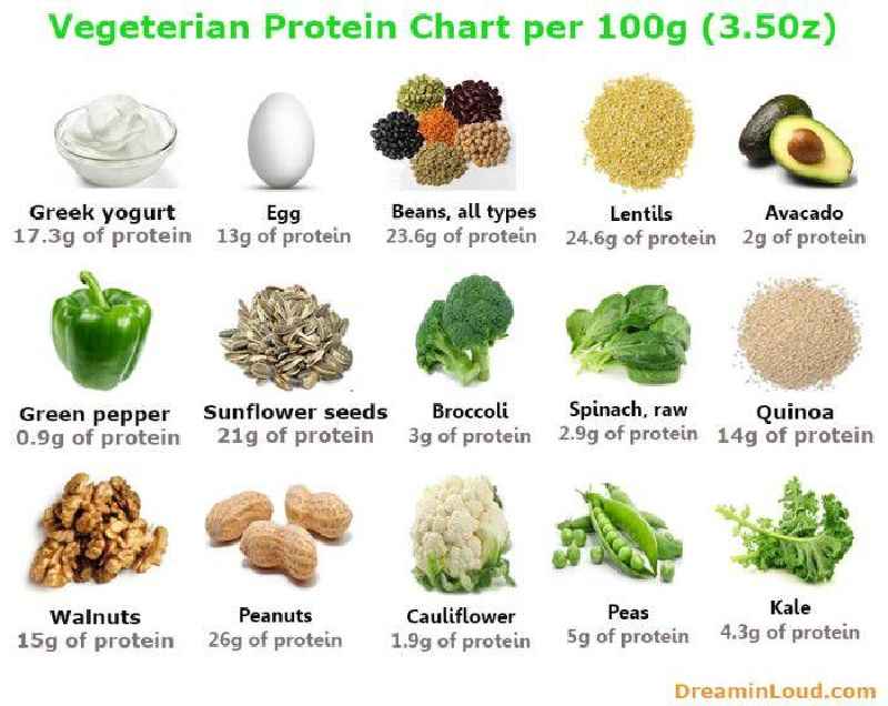 Which food proteins has the best assortment of essential amino acids for the human body
