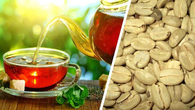 Which is better for weight loss green tea or peppermint tea
