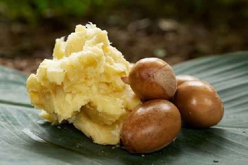 Which is better white shea butter or yellow shea butter