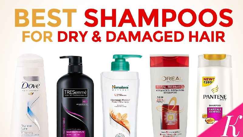Which Loreal Professional shampoo is best for dry and damaged hair