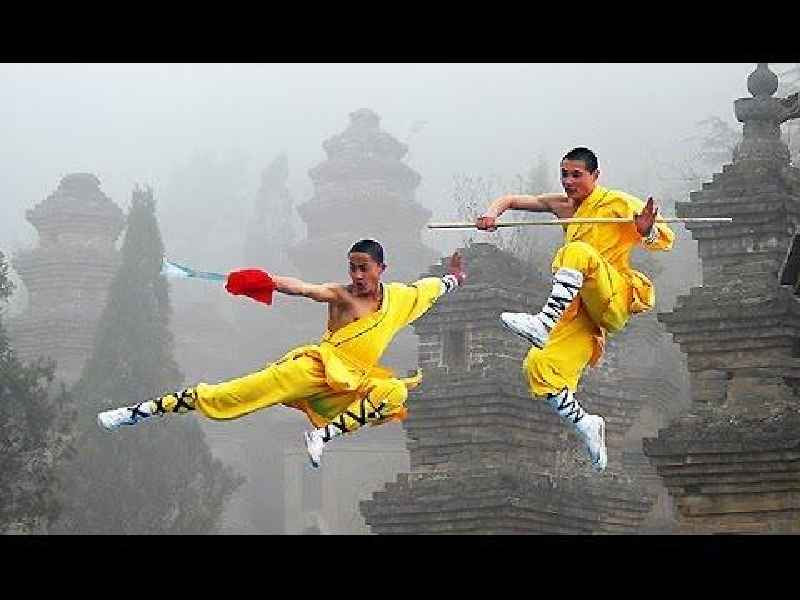 Which martial art is best in your opinion why