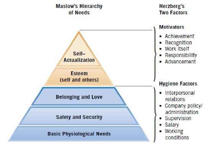 Which needs in Maslow's hierarchy of needs are hygiene factors