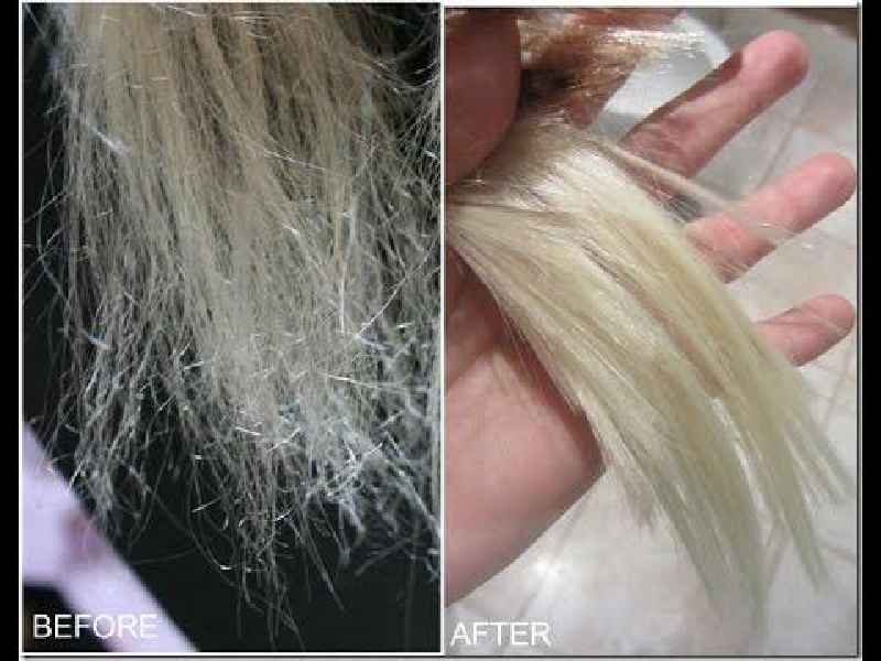 Which oil is best for bleached hair