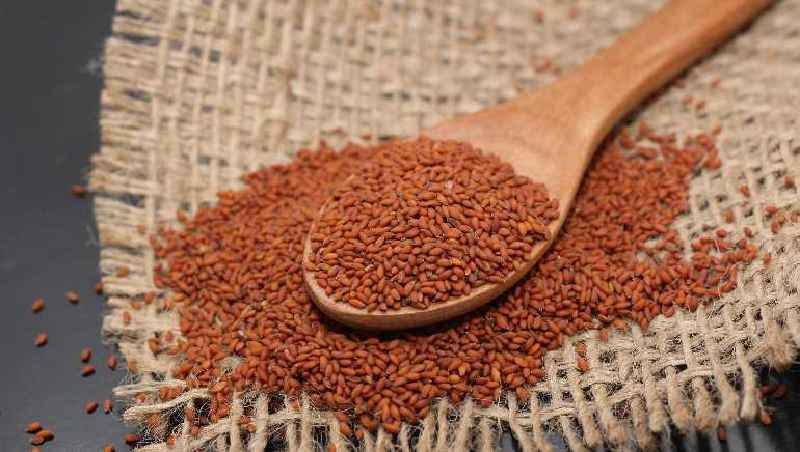 Which seeds are best for weight loss