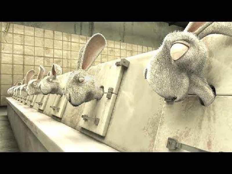 Why are animals tested on for cosmetics