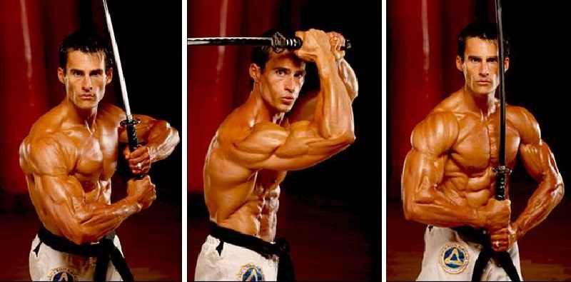 Why are martial artists so ripped