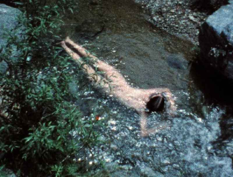 Why was Ana Mendieta controversial