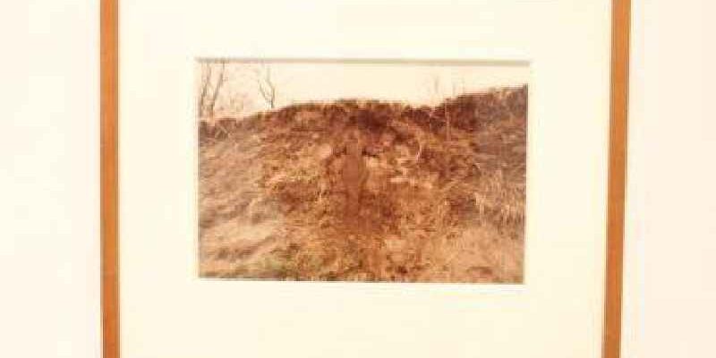Why was it important for Ana Mendieta to use her body in her works